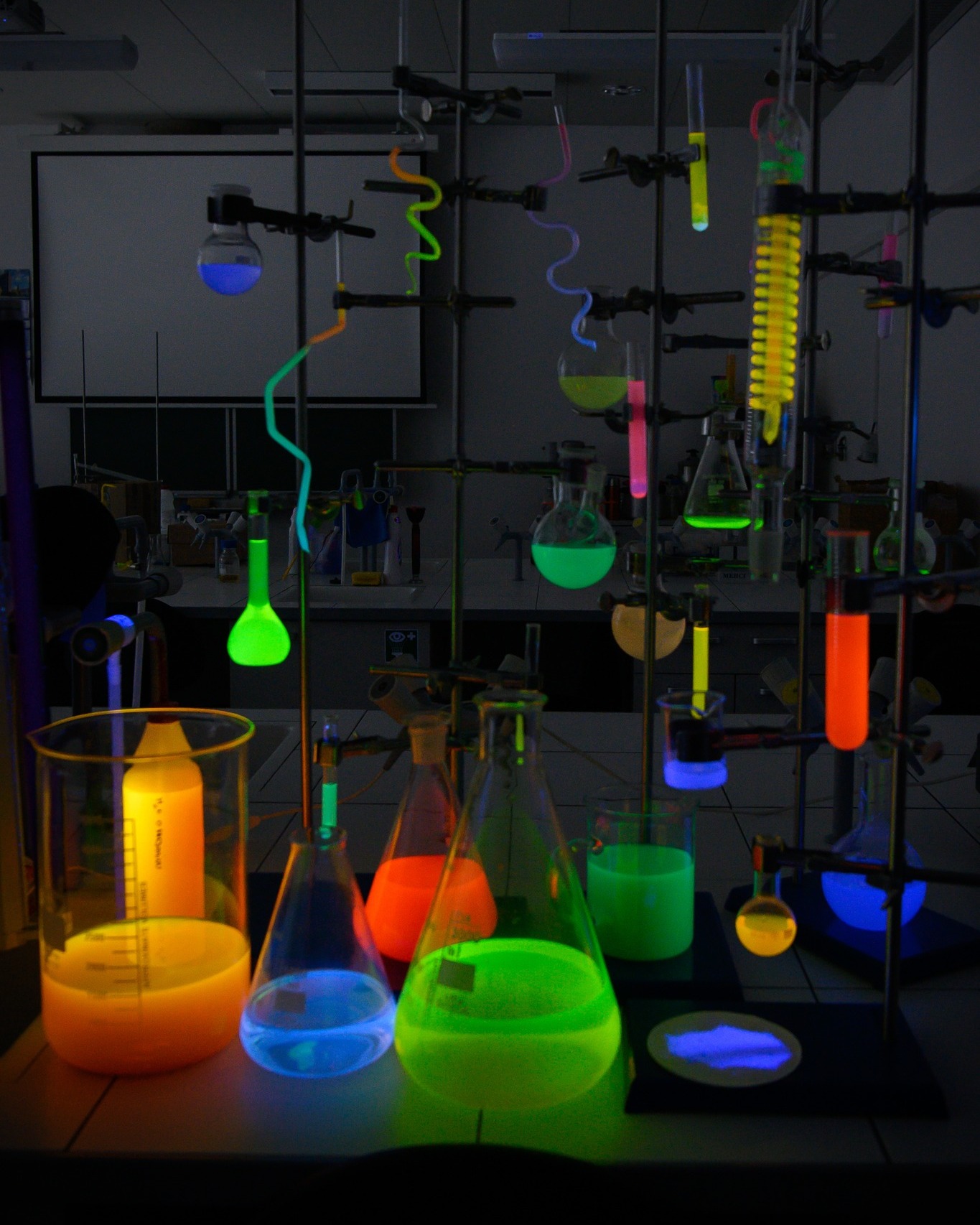 489862768 1271900561327886 6101414457376537175 n.jpg