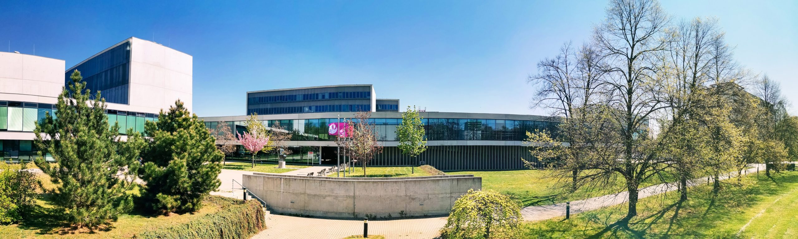 490544994 1277055584145717 5344162673632504791 n scaled.jpg