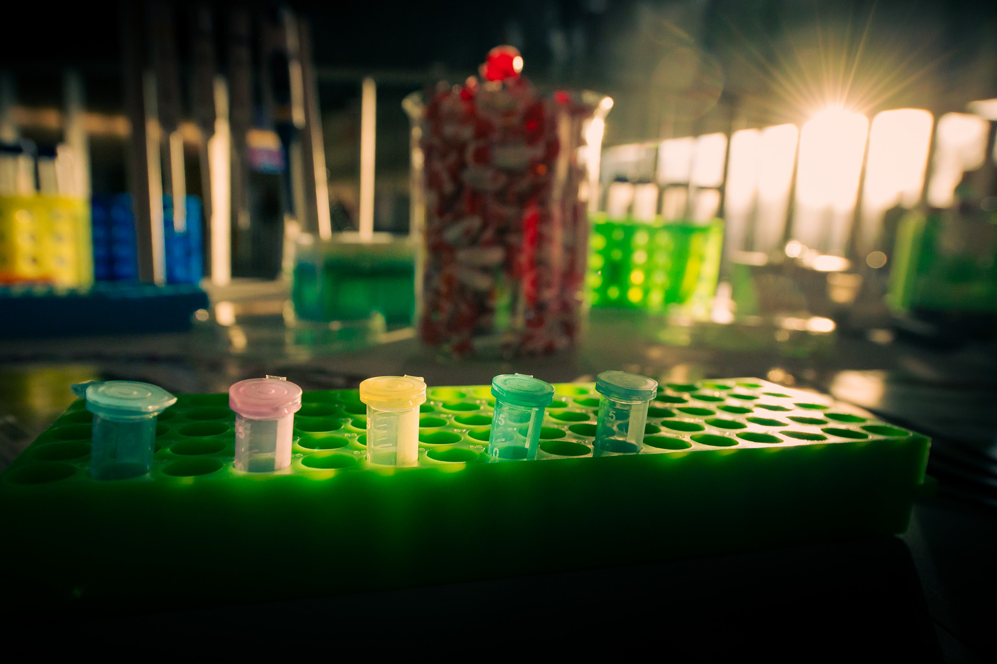 493275247 1290994286085180 6561794387793980538 n.jpg