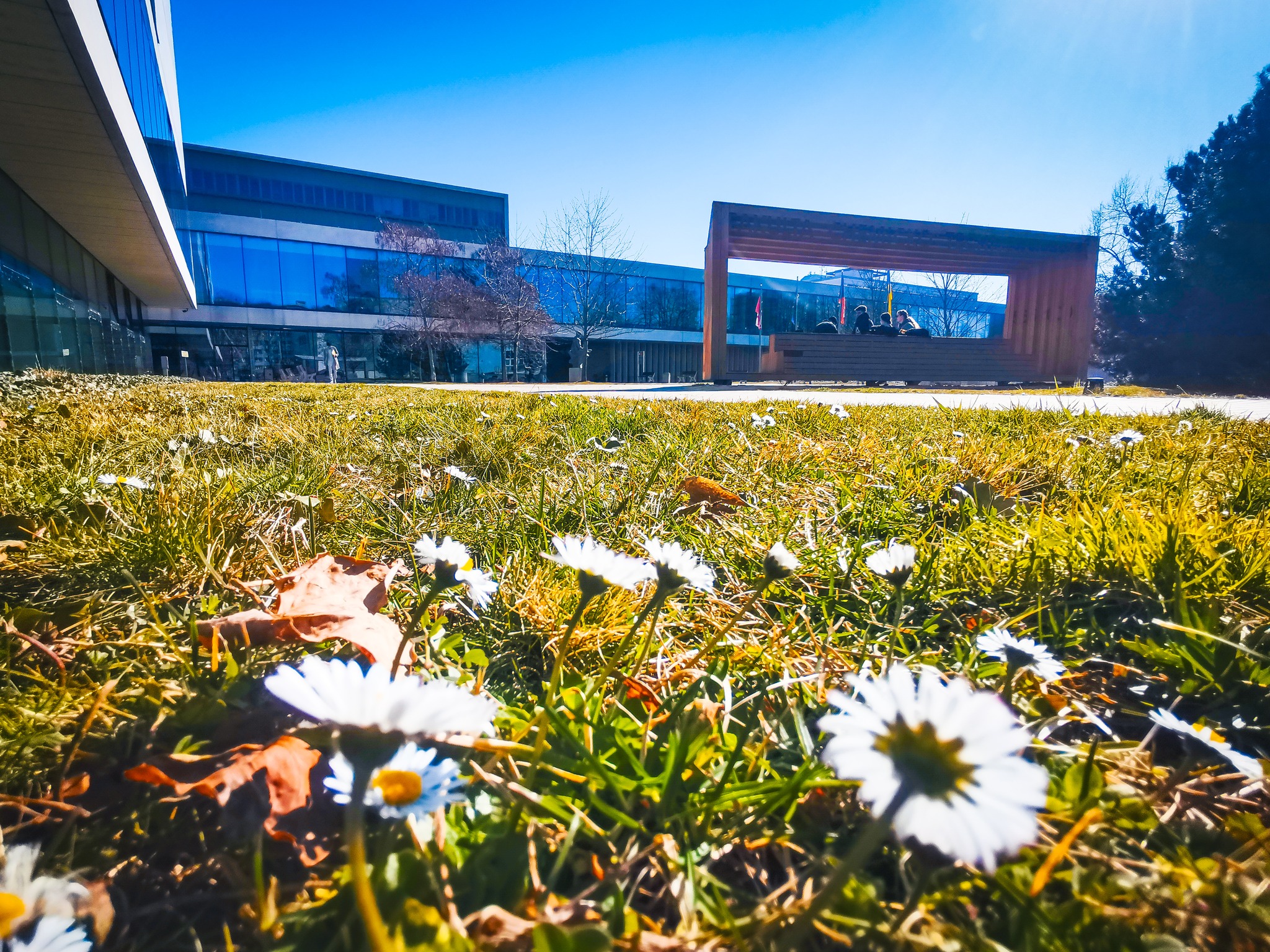 494459777 1291978309320111 5551083312559238607 N