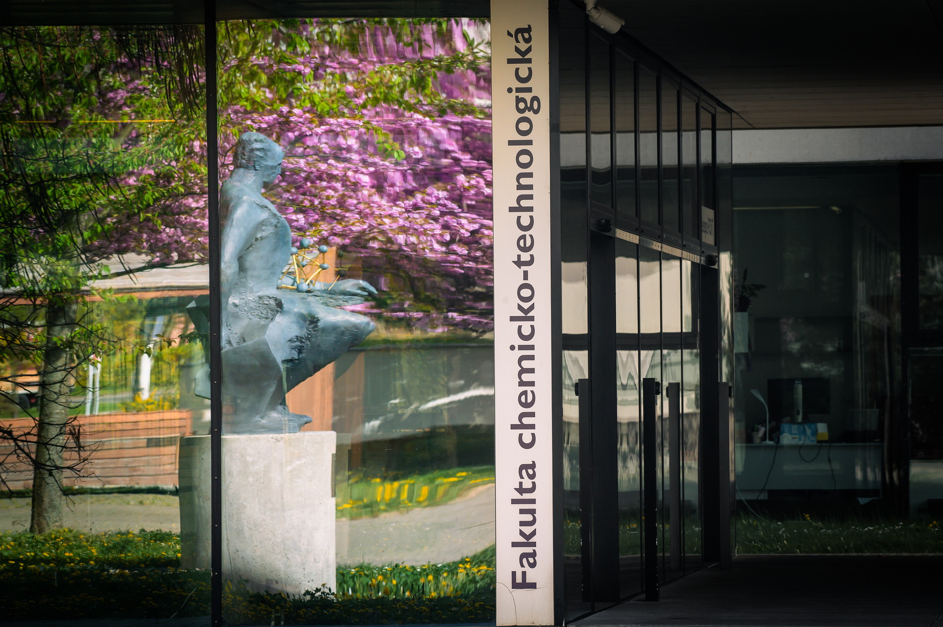 497914993 1305441021307173 1526397045345254844 N