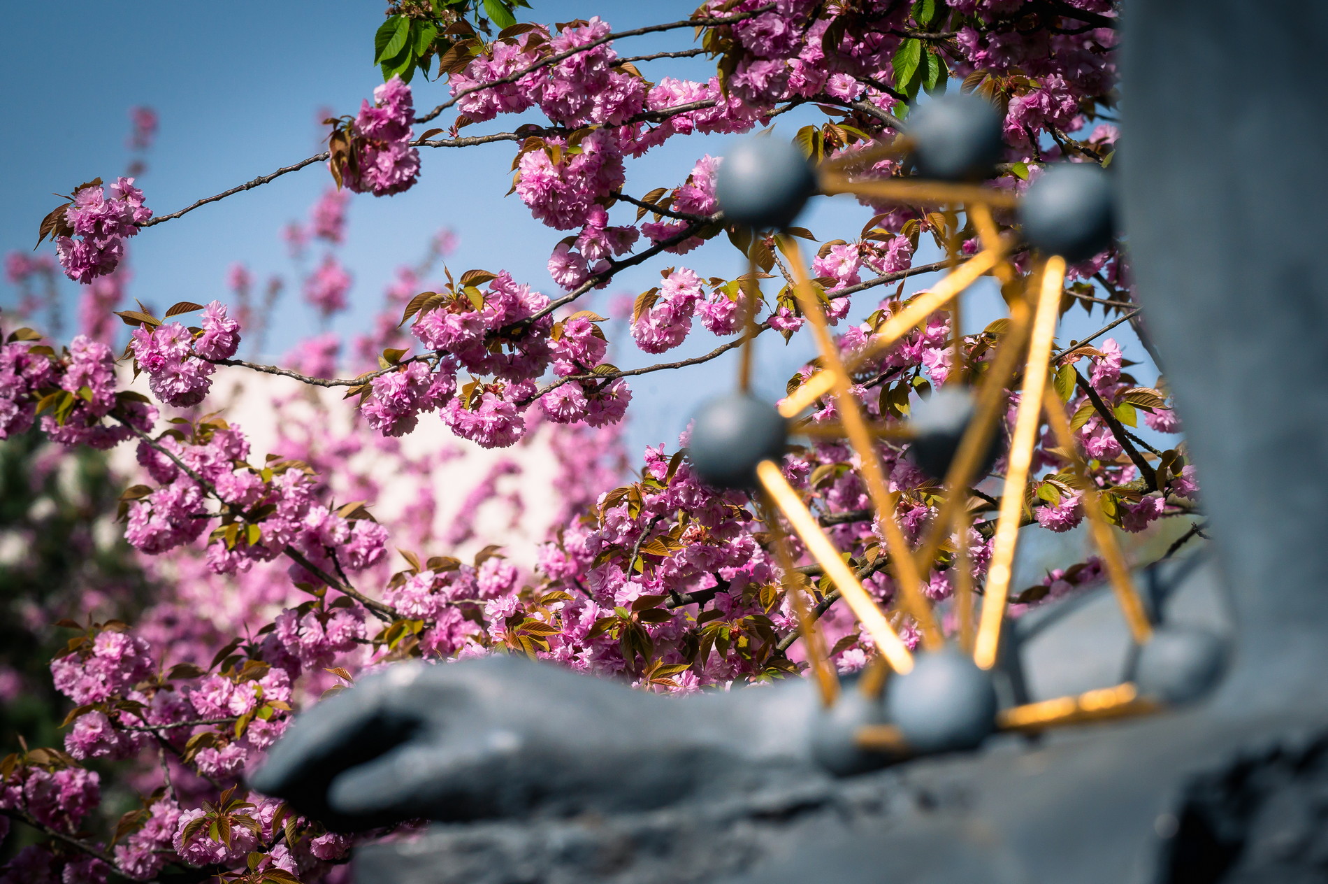 498128487 1305441977973744 5495755320450597384 N