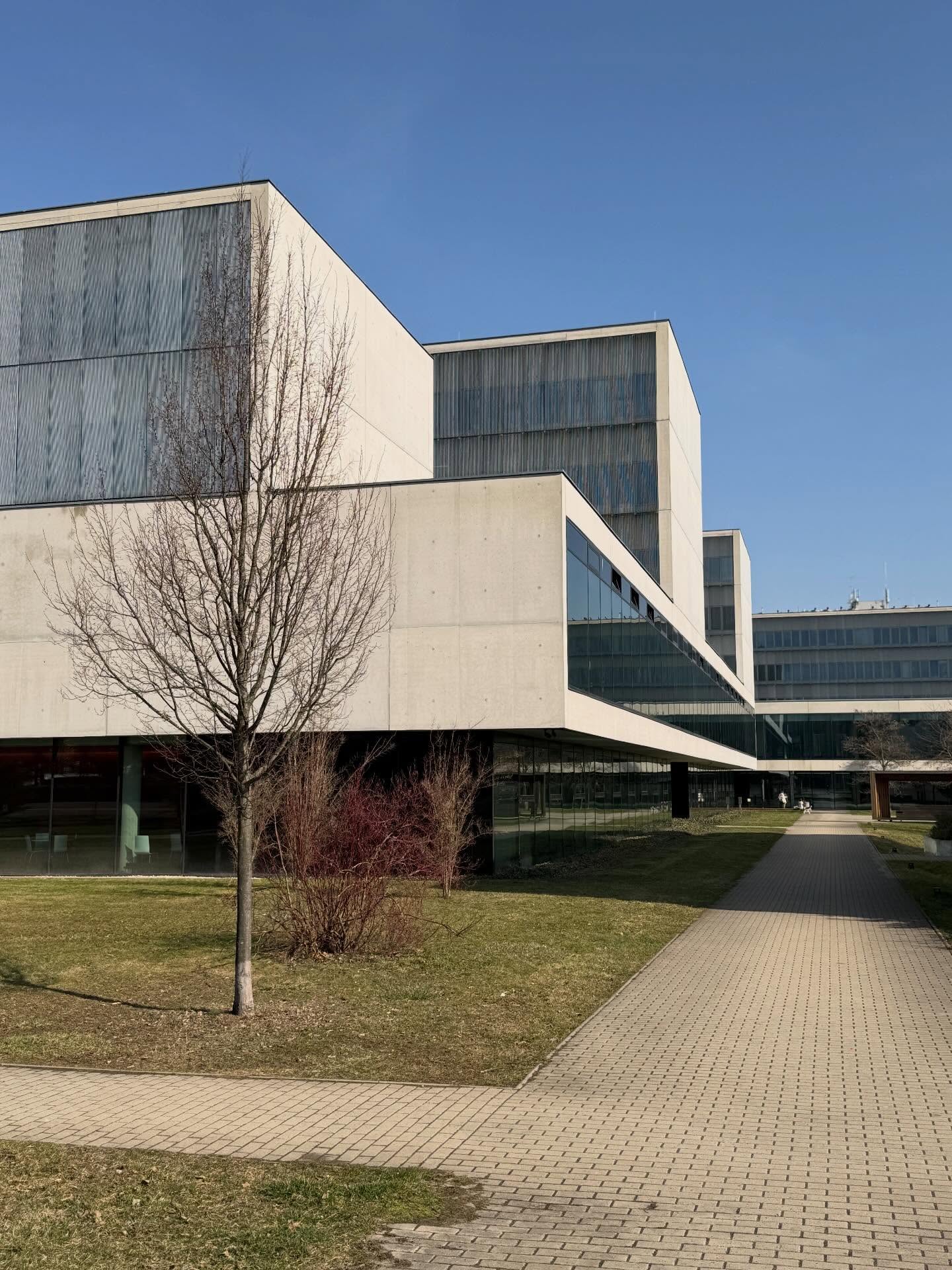 642489267 18326919964222039 7592563136381985284 n.jpg